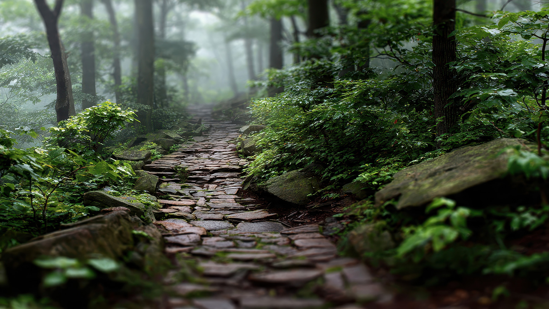 [background image] image of serene landscape with river