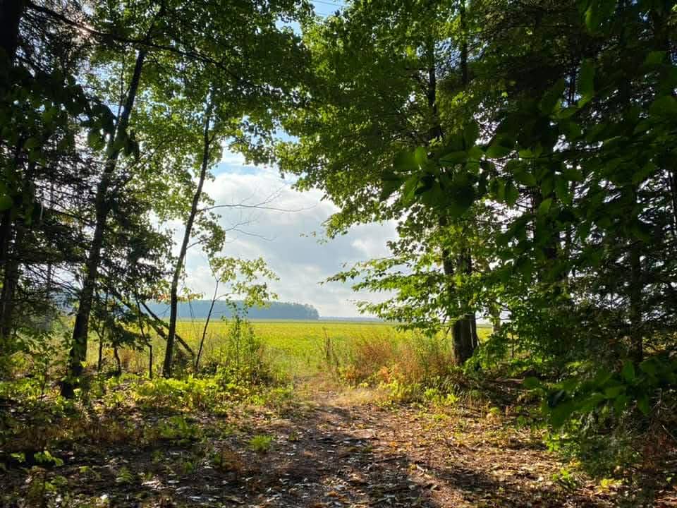[background image] image of serene landscape with river