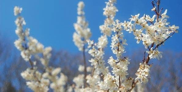 [background image] image of serene landscape with river