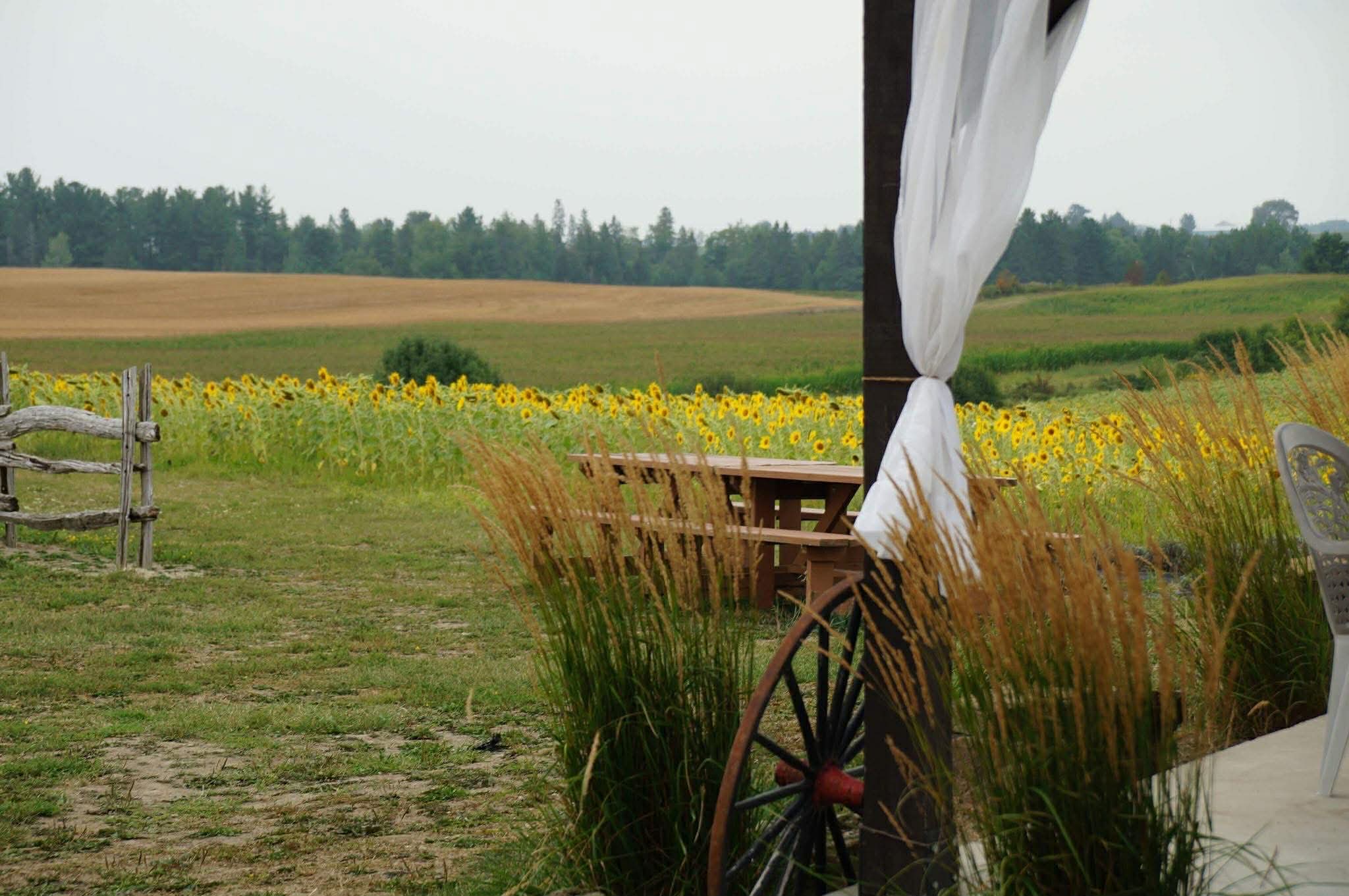 [background image] image of serene landscape with river