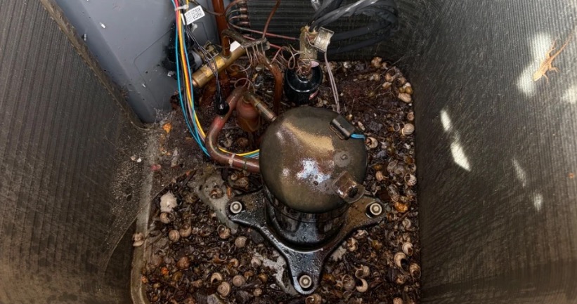 Inside an outdoor AC condenser unit with the top removed, showing leaves and debris around the compressor