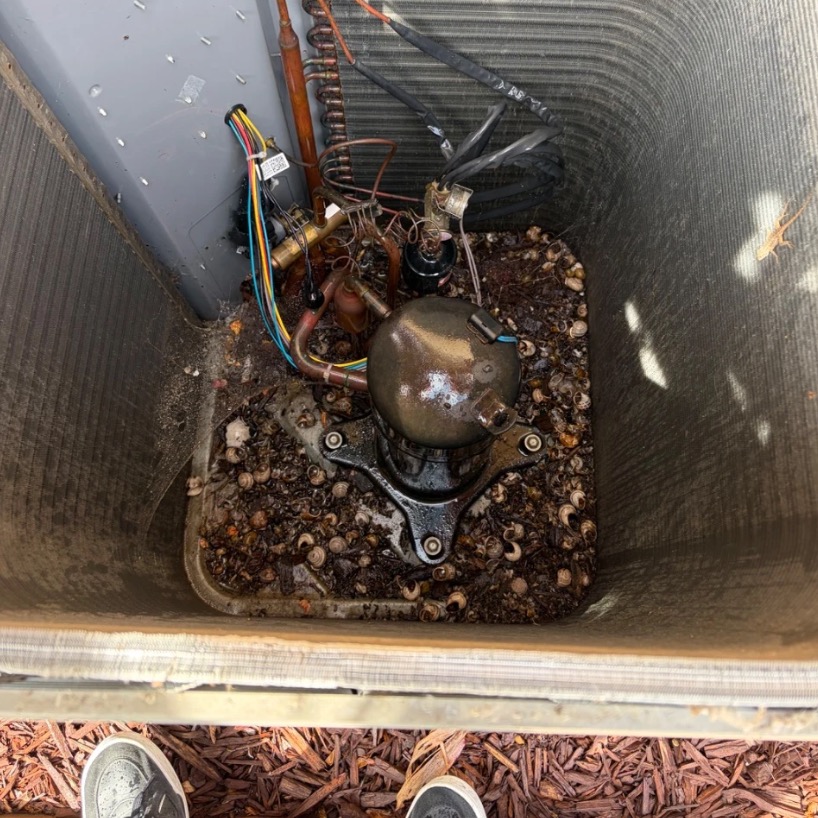 Inside an outdoor AC condenser unit with the top removed, showing leaves and debris around the compressor