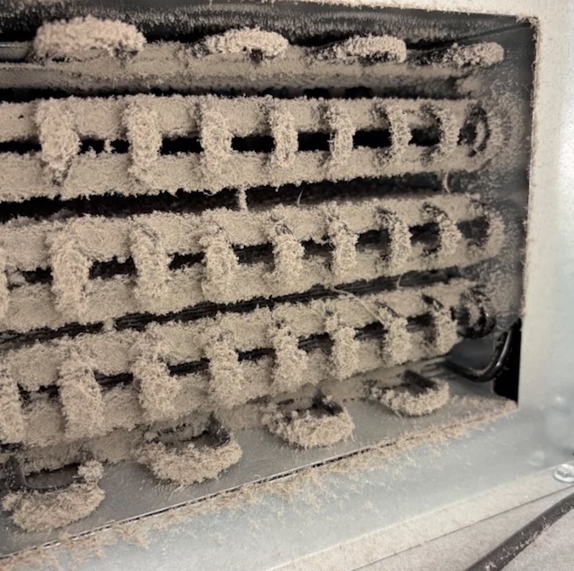 Refrigerator condenser coils caked with dust and lint