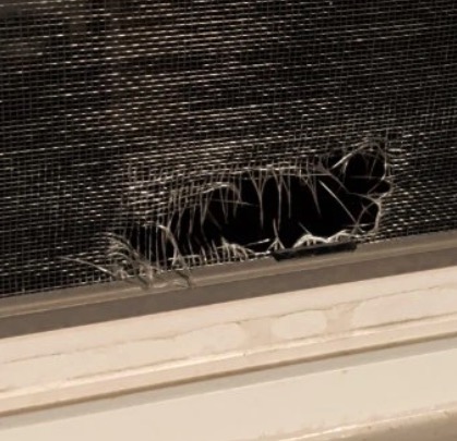 Torn window screen with a hole in the mesh