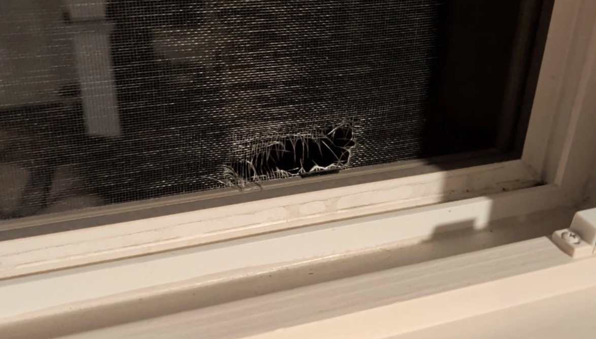 Torn window screen with a hole in the mesh
