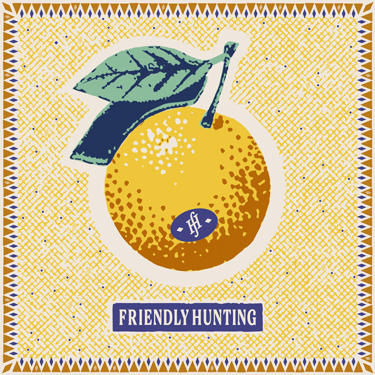 Zentrale Illustration einer Orange mit Blatt und Schriftzug auf gemustertem Hintergrund