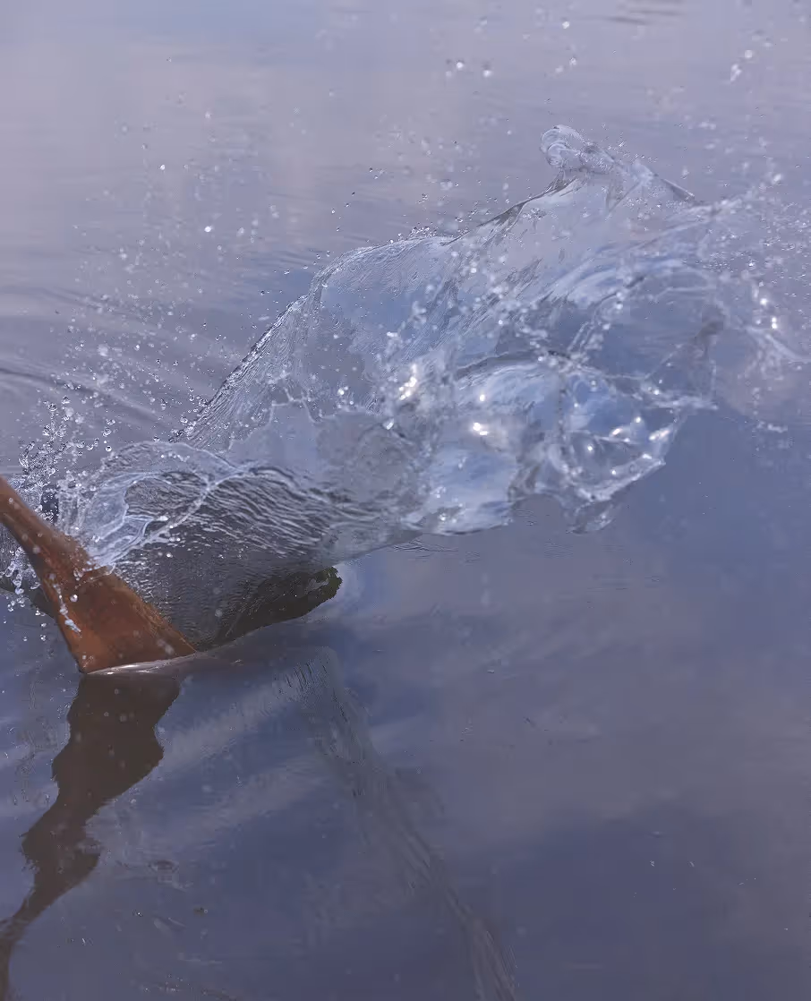 Hand im Wasser mit fließender Bewegung im ruhigen Naturstil der Friendly Hunting Kampagne