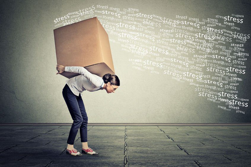 PR 29 | Resilience & Wellness Intelligence