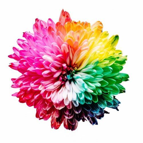 PR 054 |Miracles Beyond Medicine