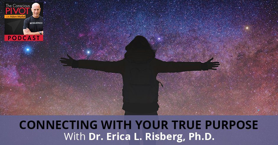 PR Erica | Communication And Resilience