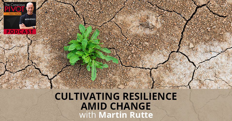 PR Martin | Cultivating Resilience