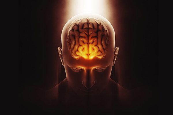 PR Dr. Greg Hammer | GAIN Philosophy