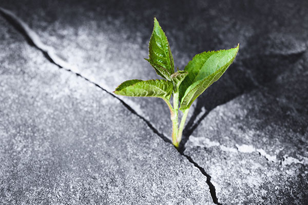 PR Martin Moore | No Bullsh!t Leadership