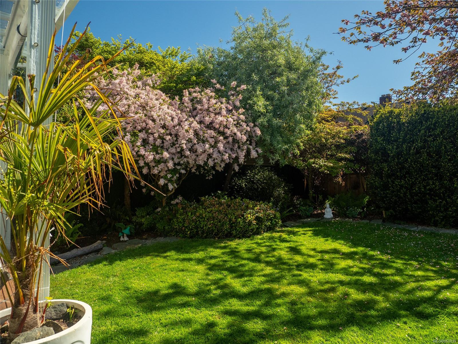 Sunny garden with a green lawn, flowering pink tree, various shrubs, and a potted palm plant near a glass enclosure. Berk Christensen Real Estate Victoria BC.