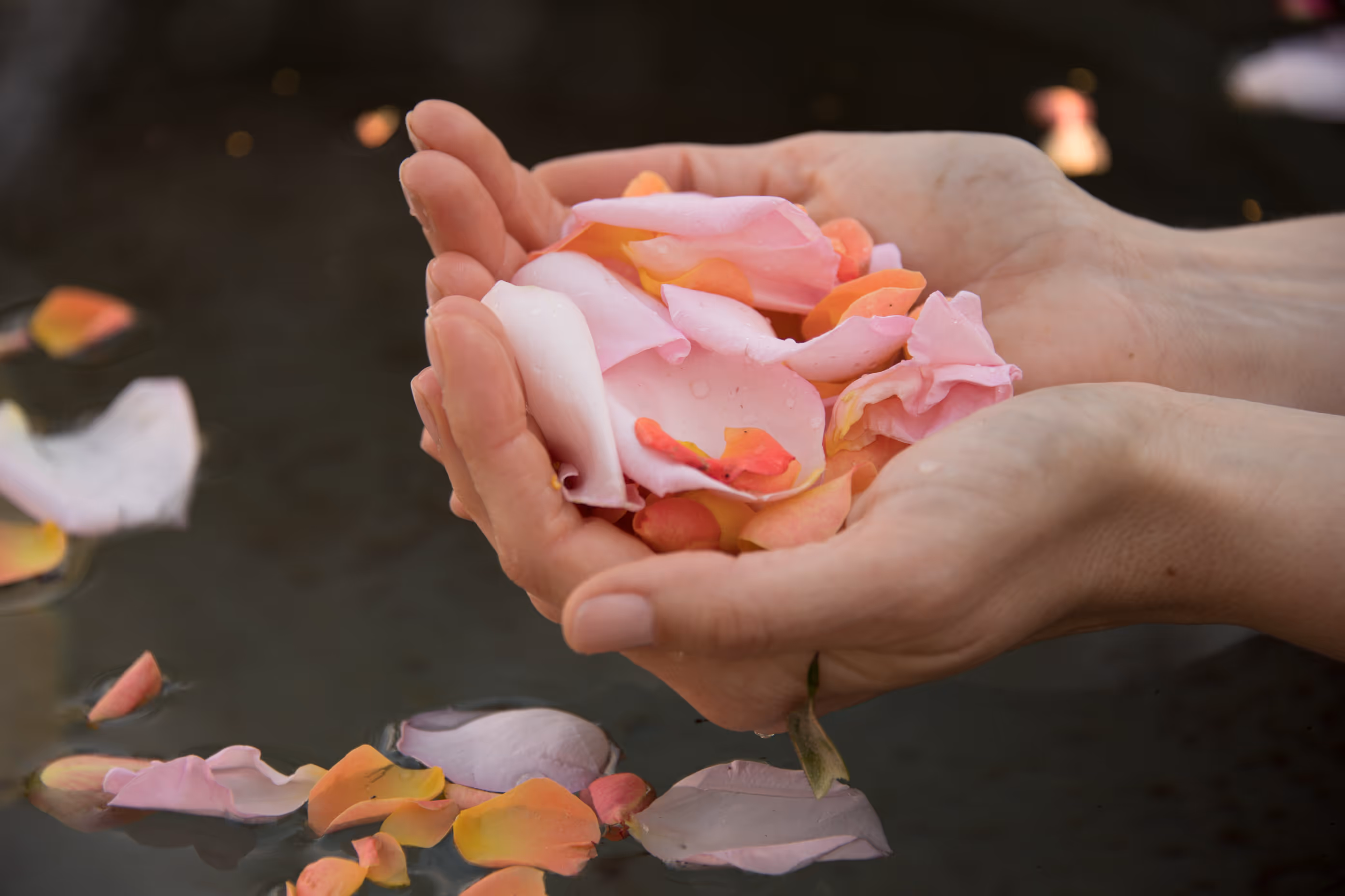 Hands holding flower petals over water, representing plant-based healing and mindful connection to nature