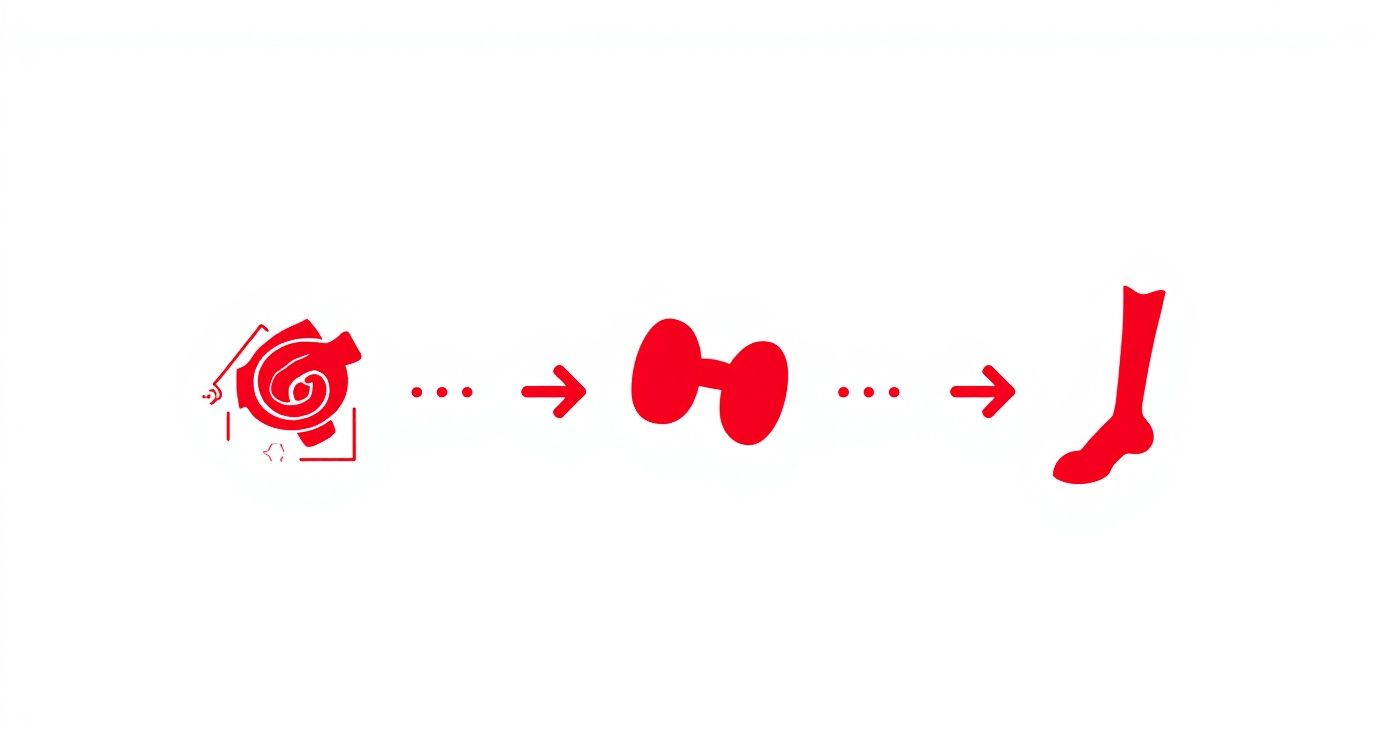 Visual diagram showing progression from rose flower to bow tie to sock illustration in red