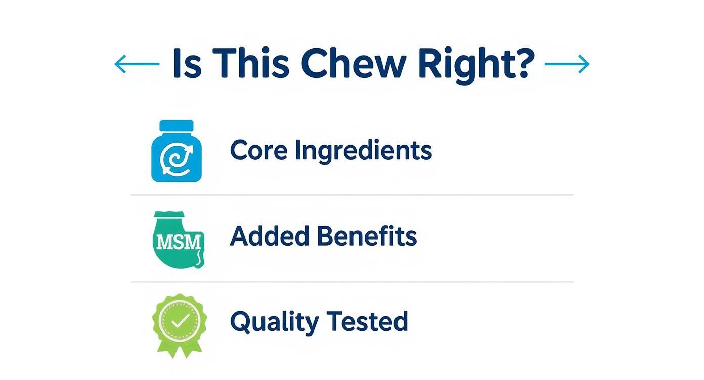 An infographic titled 'Is This Chew Right?' featuring sections for 'Core Ingredients', 'Added Benefits', and 'Quality Tested'.