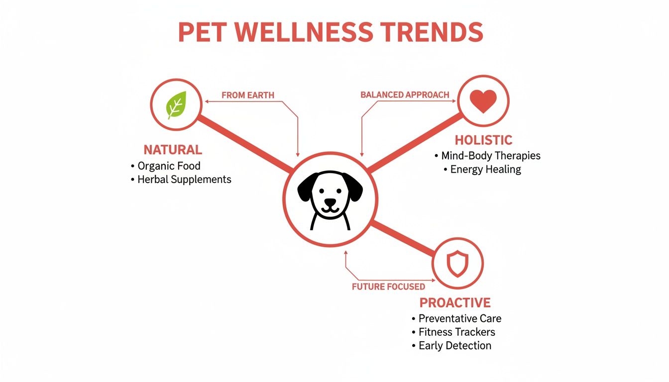 Infographic illustrating pet wellness trends, including natural, holistic, and proactive approaches for dogs.