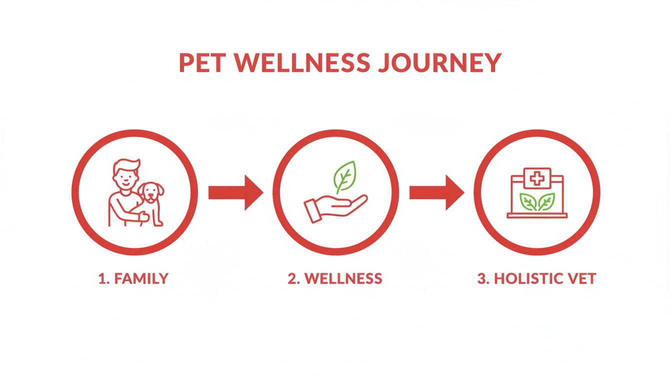 A three-step diagram illustrates the pet wellness journey from family care to holistic veterinary treatment.