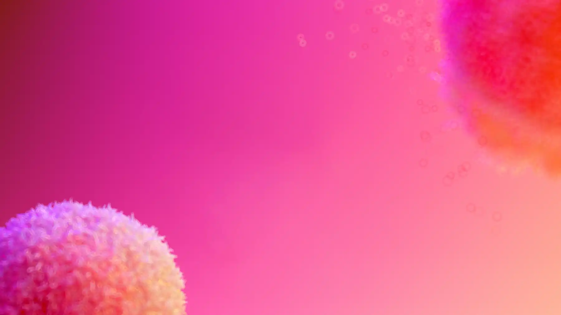 Close-up of textured immune cells with a pink and orange gradient background.