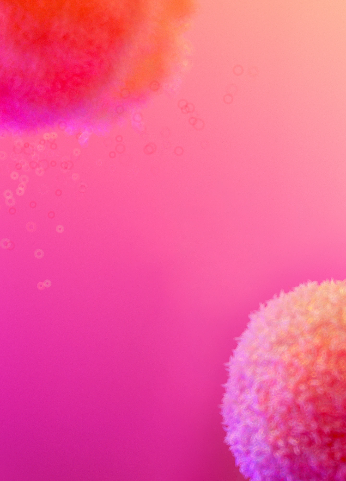 Close-up of two textured spherical objects in orange and pink hues against a pink gradient background.