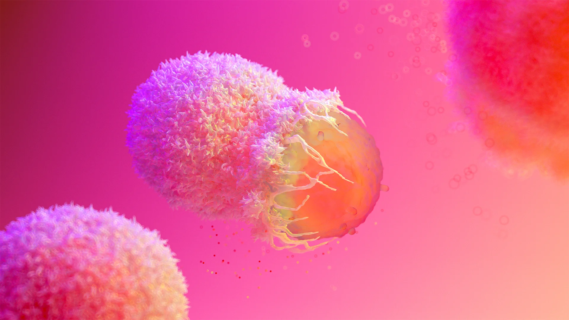A detailed 3D scientific illustration of a cancer cell with a textured yellow and pink surface, representing a target for immunotherapy.