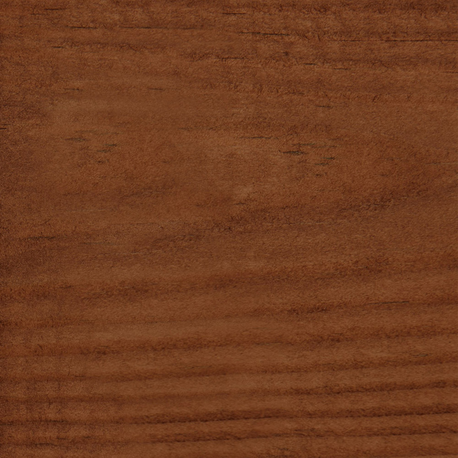 Russet