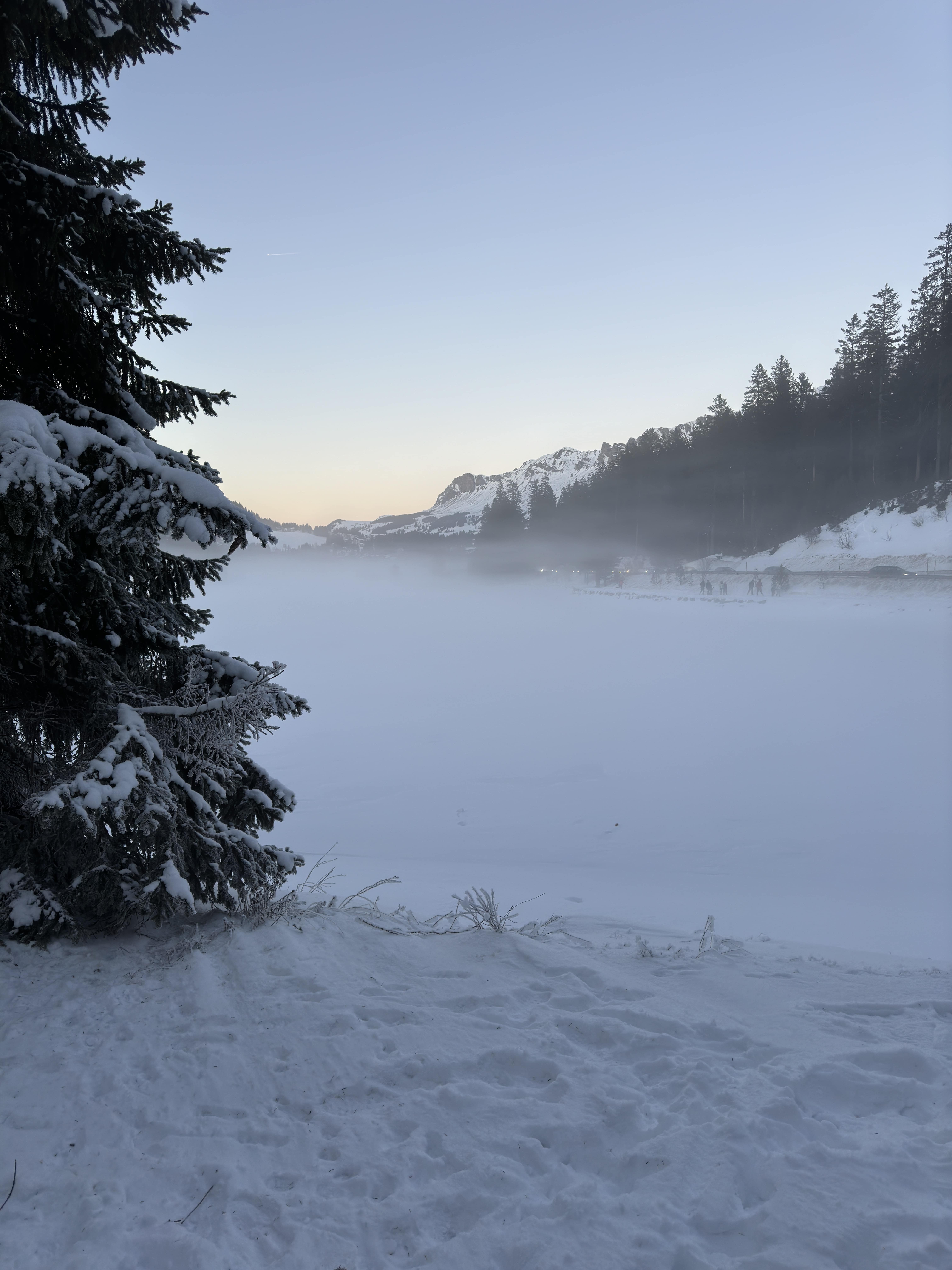 Snow-covered landscape with frosted pine trees, mist over a frozen lake, and mountains in the distance under a clear sky.
