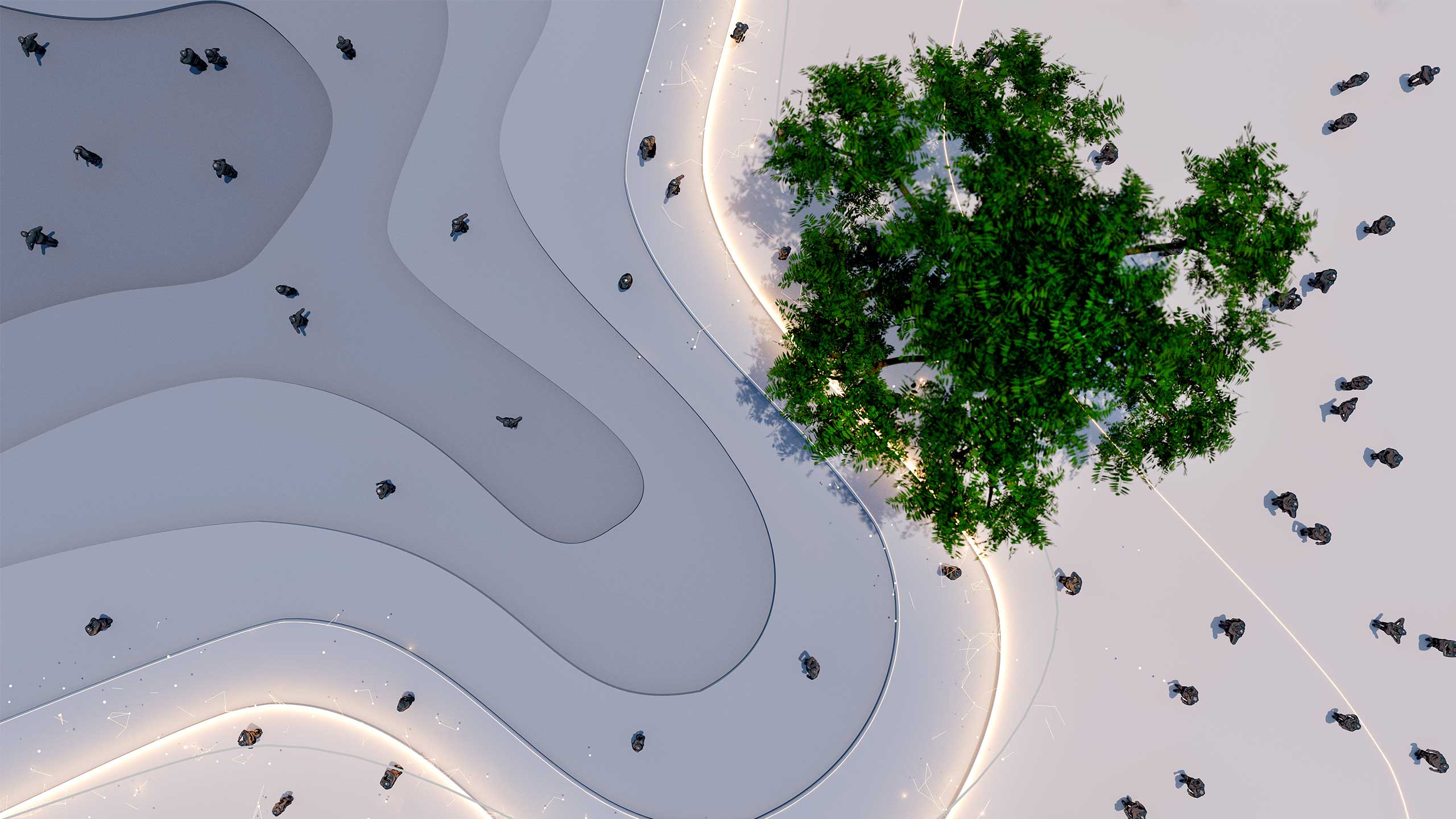 Ariel view of people walking in tree root style floor next to a tree