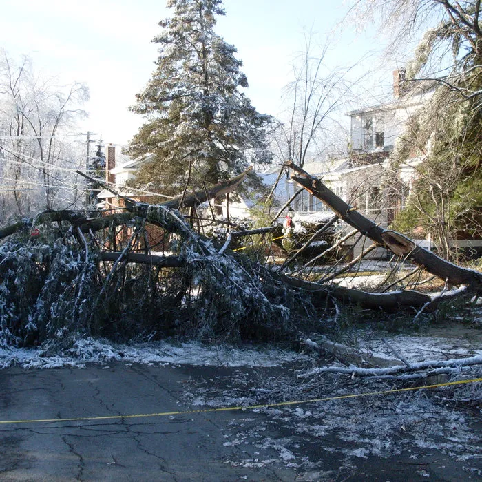 Storm Damage & Restoration