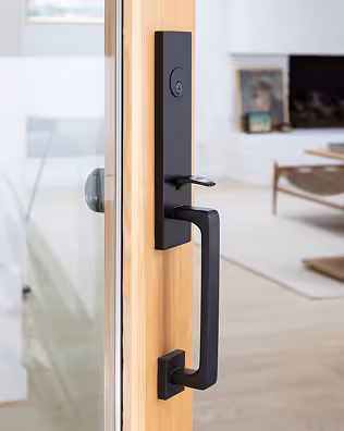 Black modern door handle and lock on a wooden framed glass door with a blurred living room in the background.