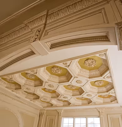 Ornate ceiling with coffered octagonal panels and decorative plasterwork in a classic interior room.