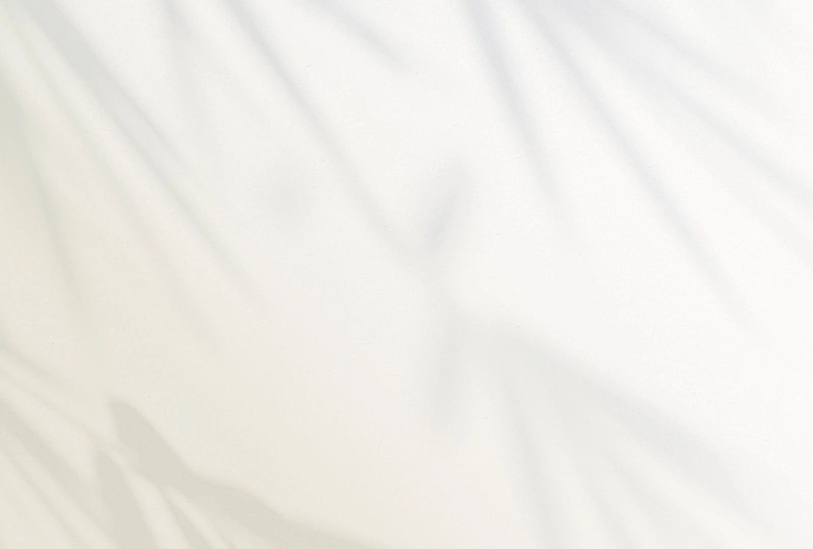 Saint Stephen's - About - Leadership - Background Img