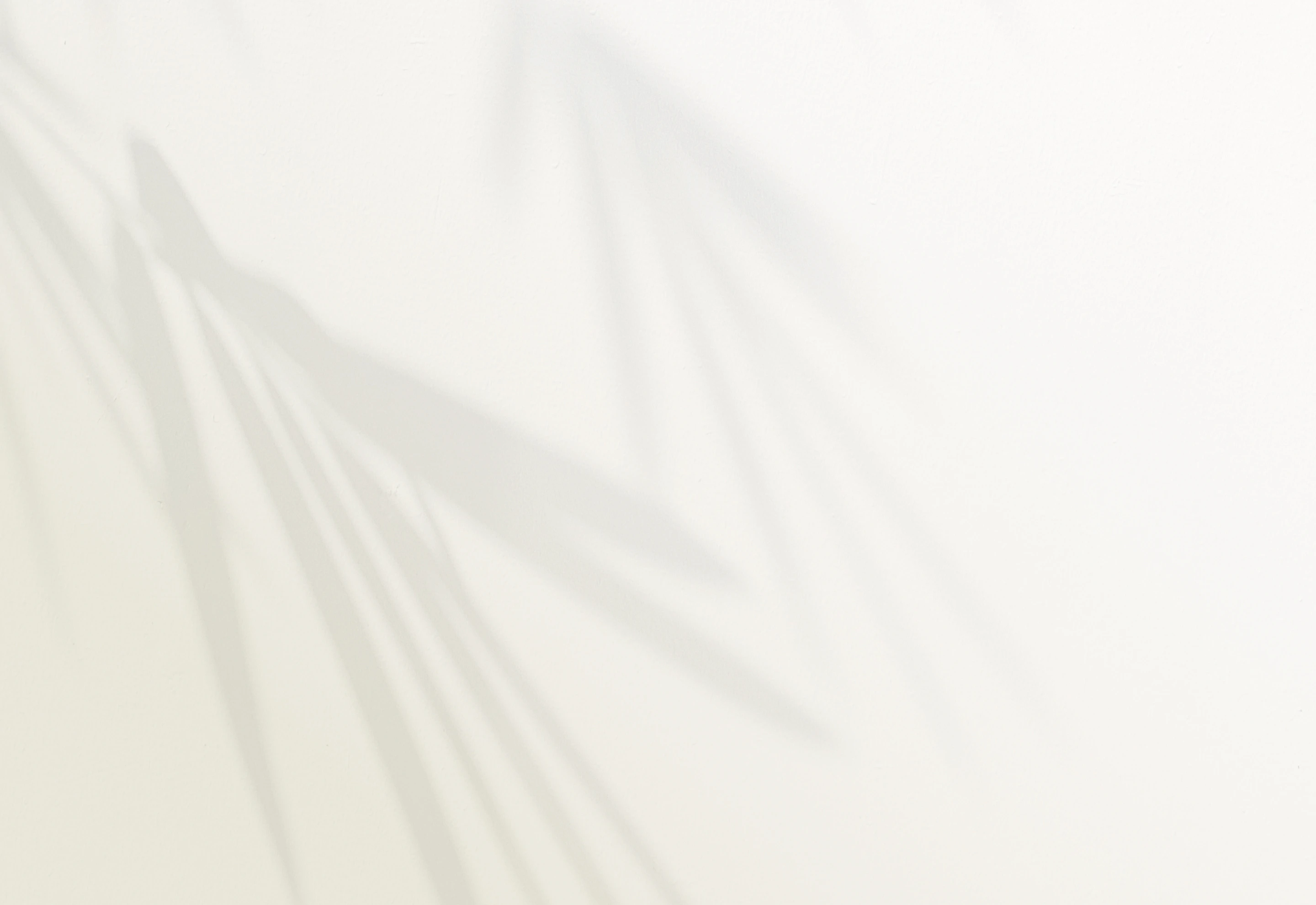 Saint Stephen's - Contact - Form - Background Img