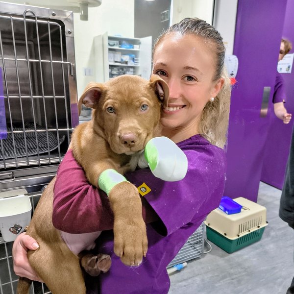 Daniella, a veterinary nurse working at Vets on Crown in Surry Hills NSW