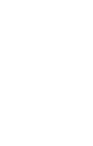 CTA Right Element Image