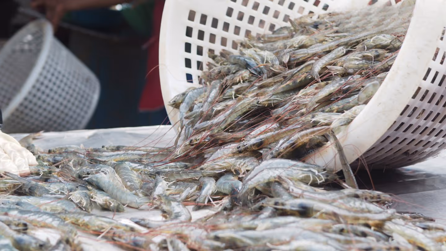 image of ship technology instruments for a maritime service 4