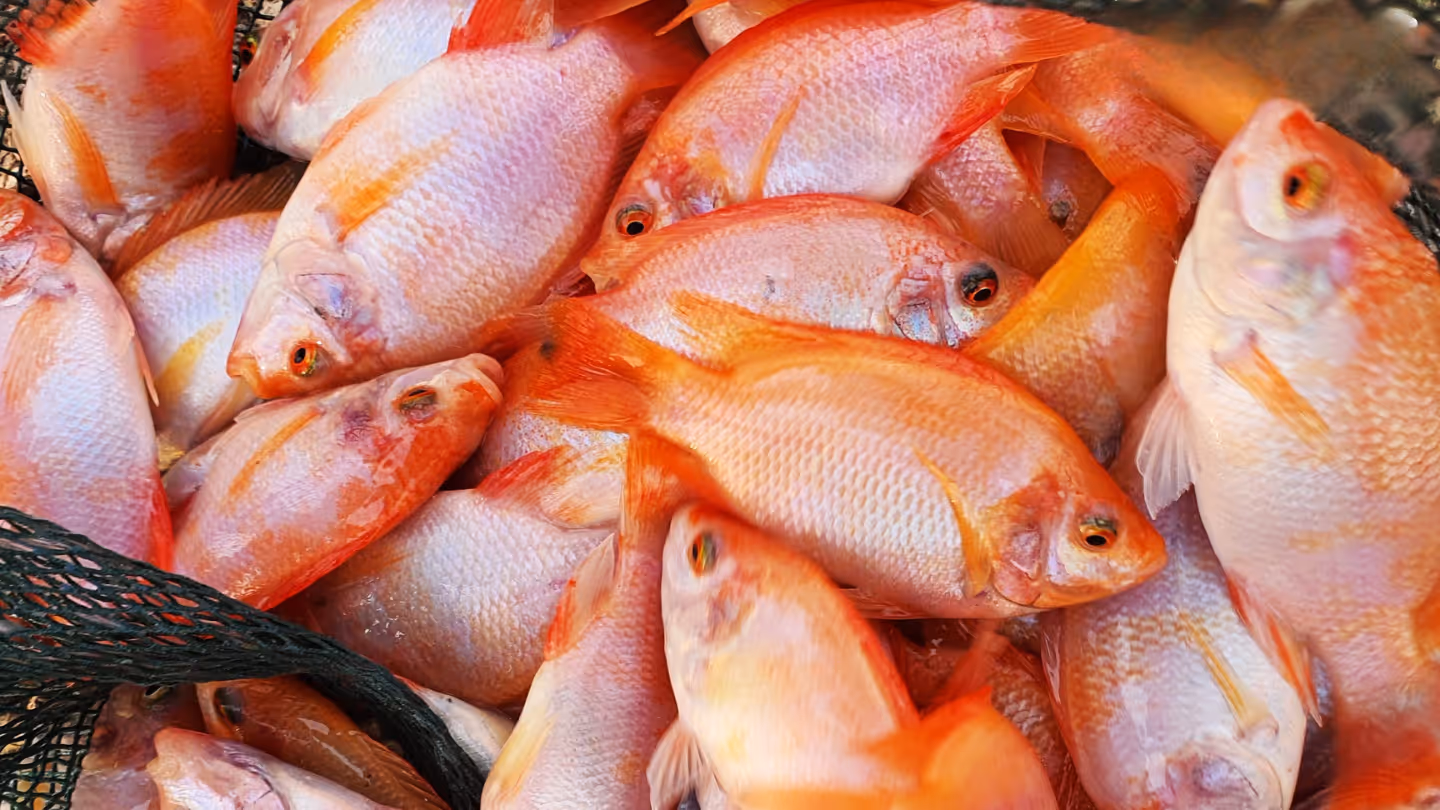 image of ship technology instruments for a maritime service 4