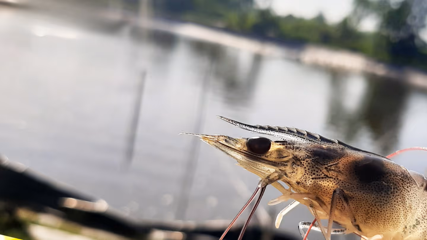 image of ship technology instruments for a maritime service 4