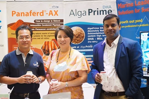 cultural dance performance for a travel agency