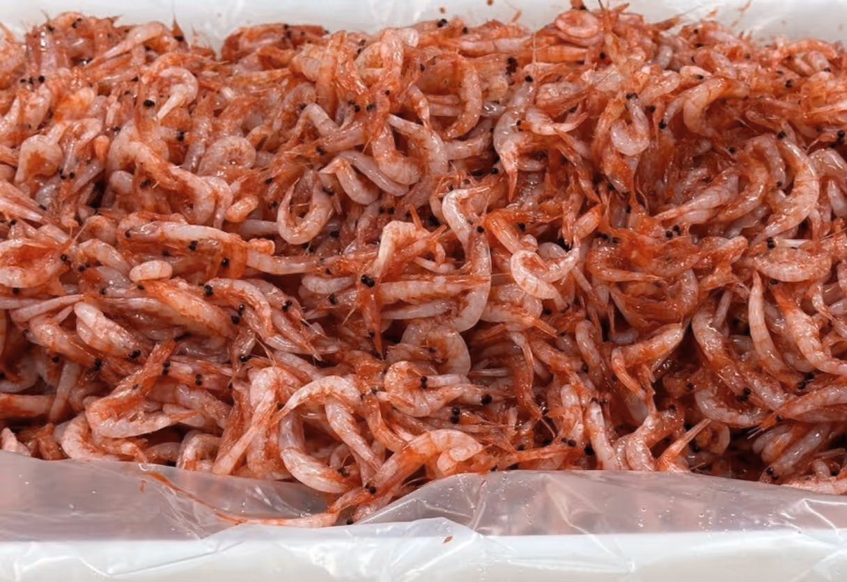 image of vitamins and supplements in a pharmacy