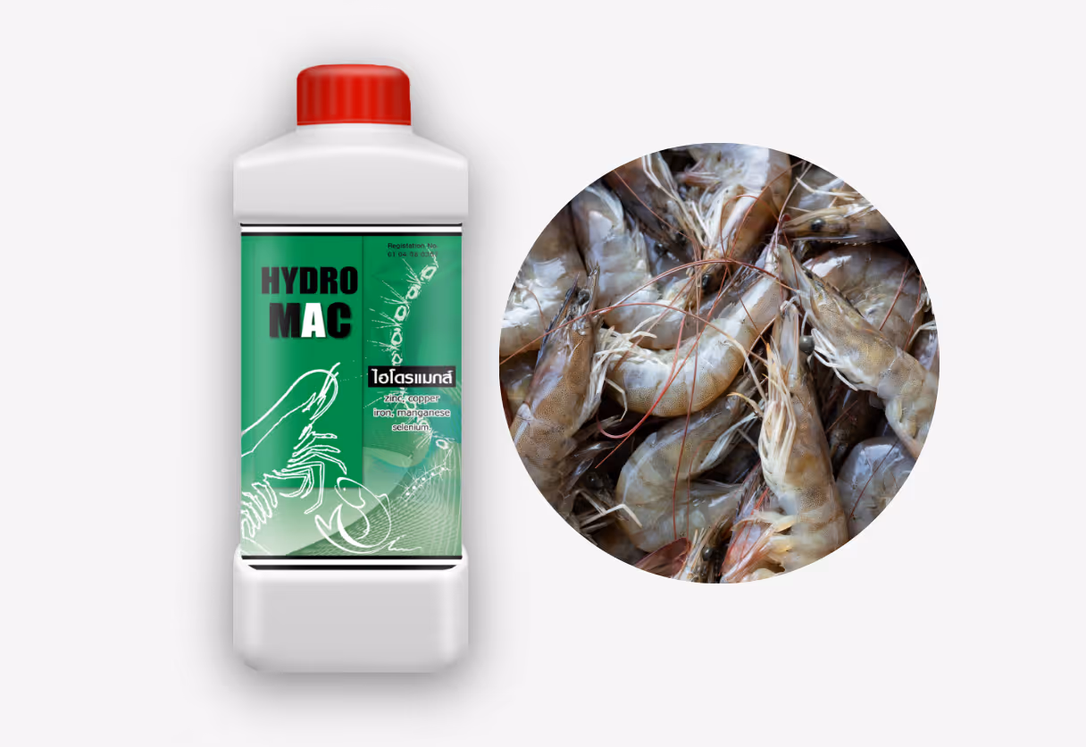 image of vitamins and supplements in a pharmacy