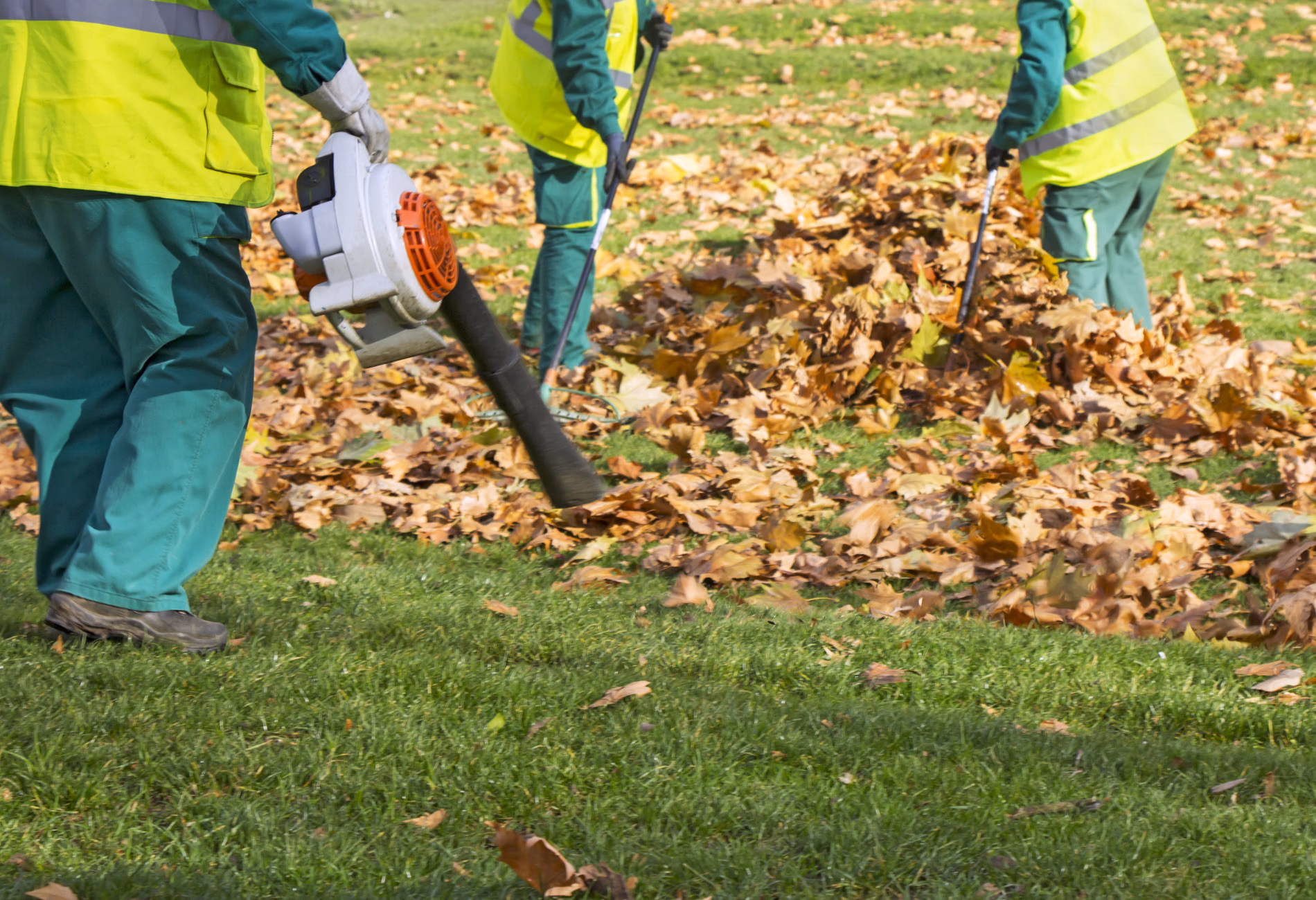 Professionelles Grünflächenmanagement für öffentliche Freiräume und Parks