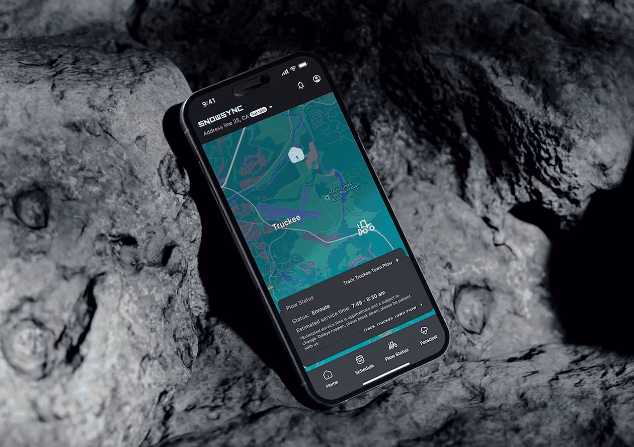 SnowSync project preview
