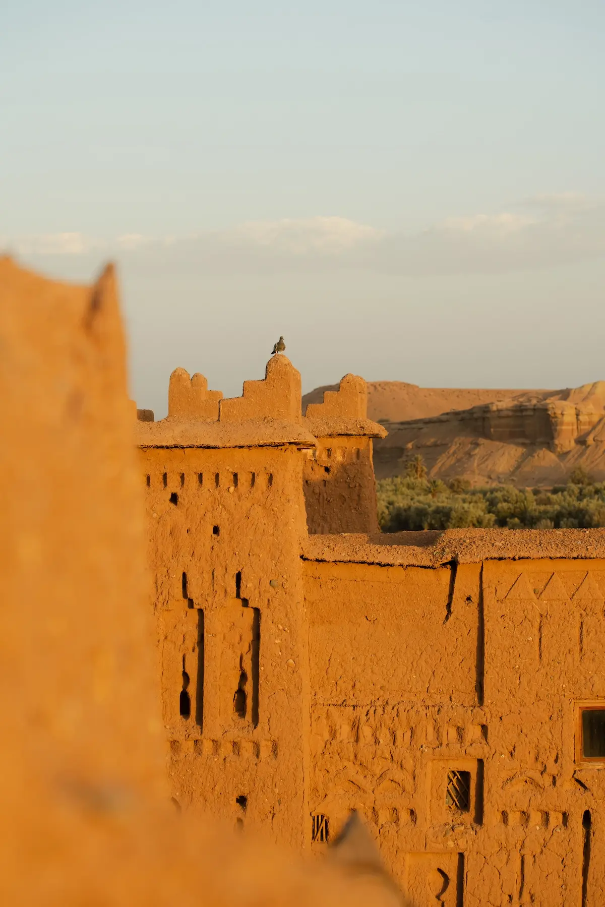 Sunset light in Ait Ben Haddou with a bird perched on the kasbah