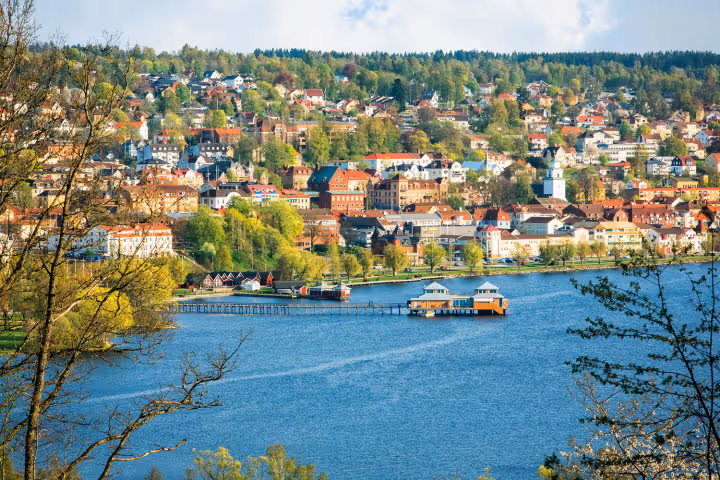 Caransebeș – Ulricehamn