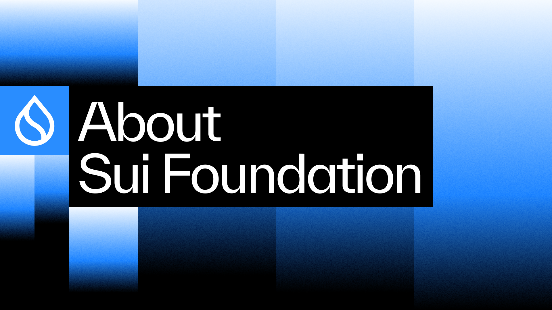 Sui | About the Sui Foundation