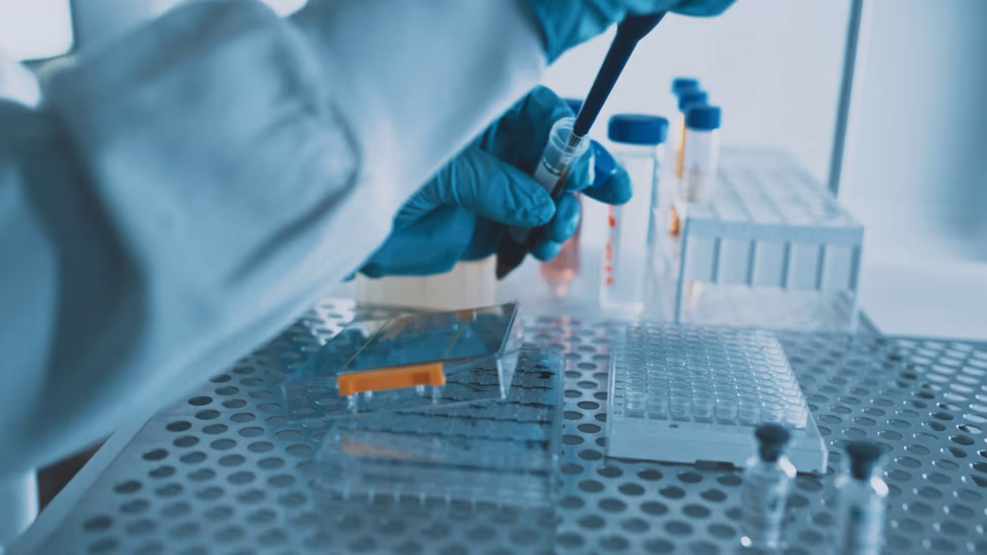 Scientist wearing blue gloves using a pipette to transfer liquid into a test tube in a laboratory.