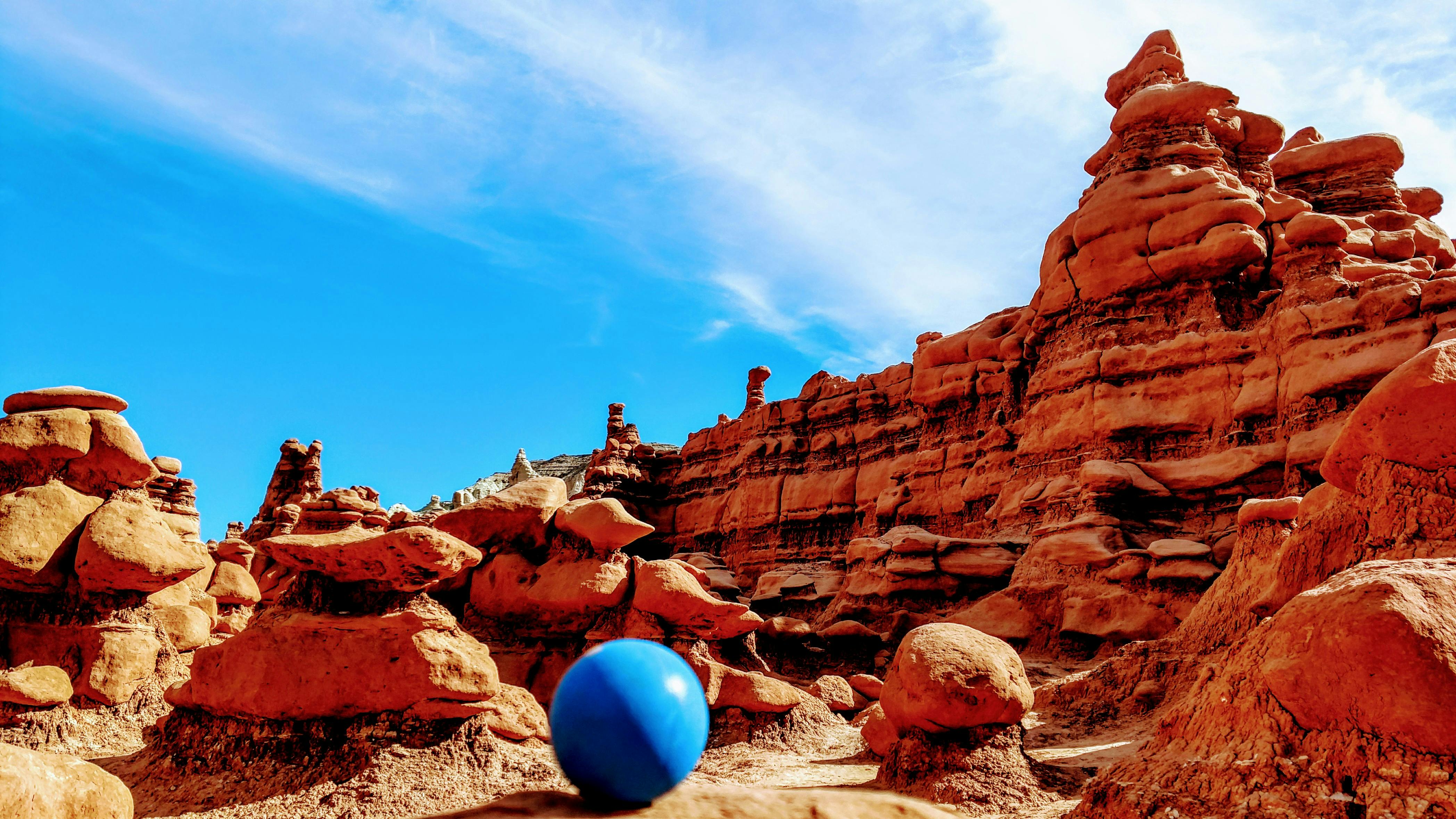 Berger Belge Groenendael