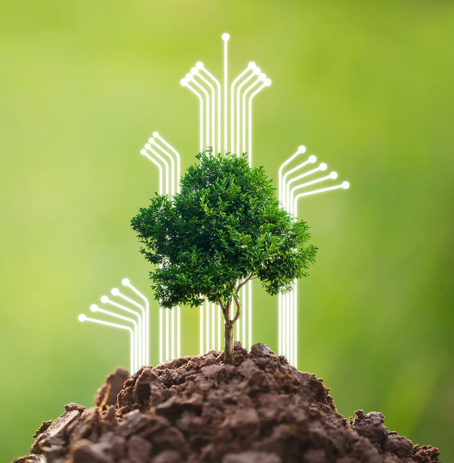 Secure Transportation are dedicated to protecting the environment through asset reuse, certified recycling, and WEEE